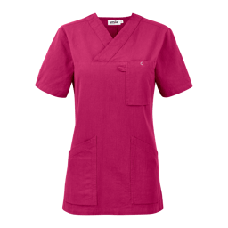 Fuchsia (619) Fuchsia