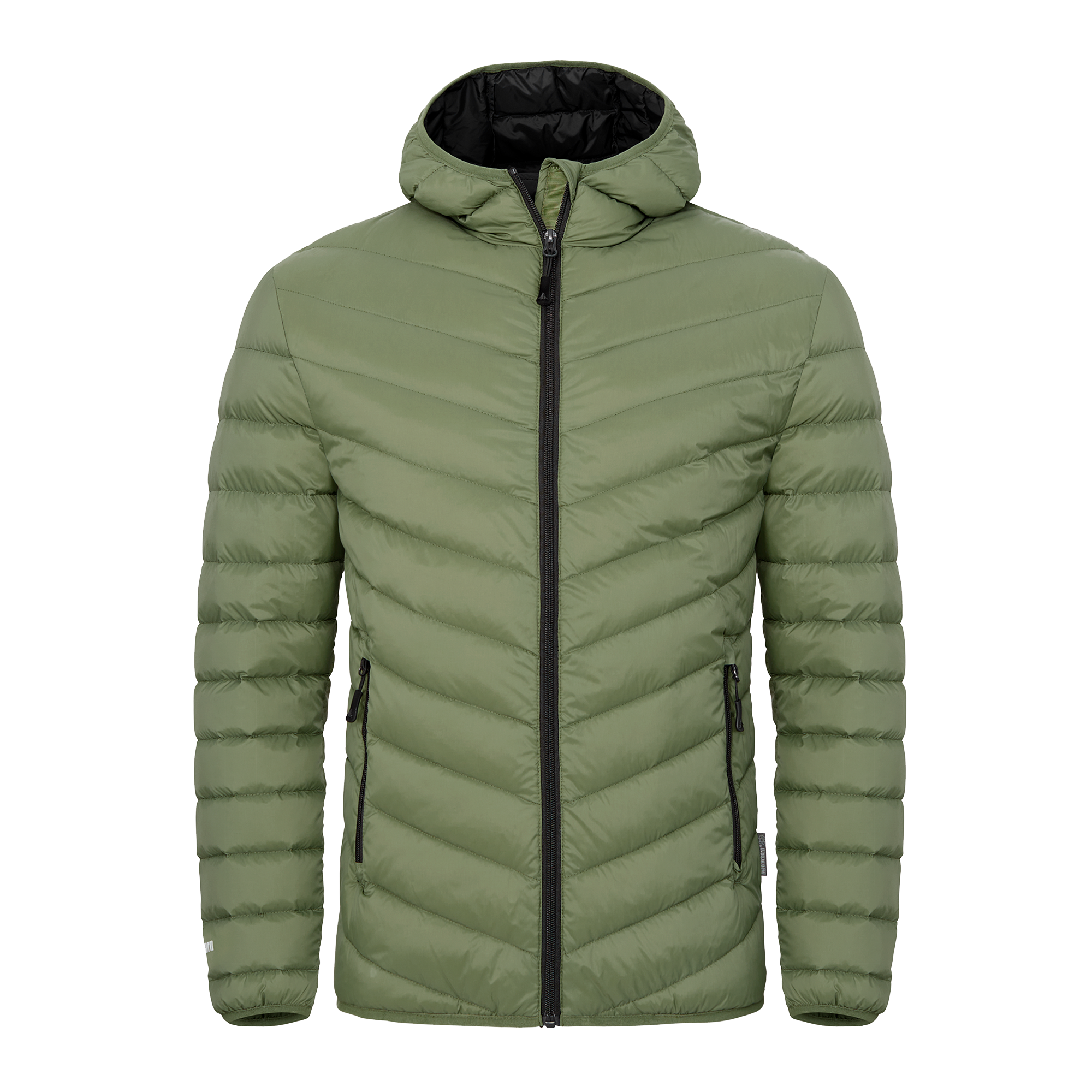 Olive (305)