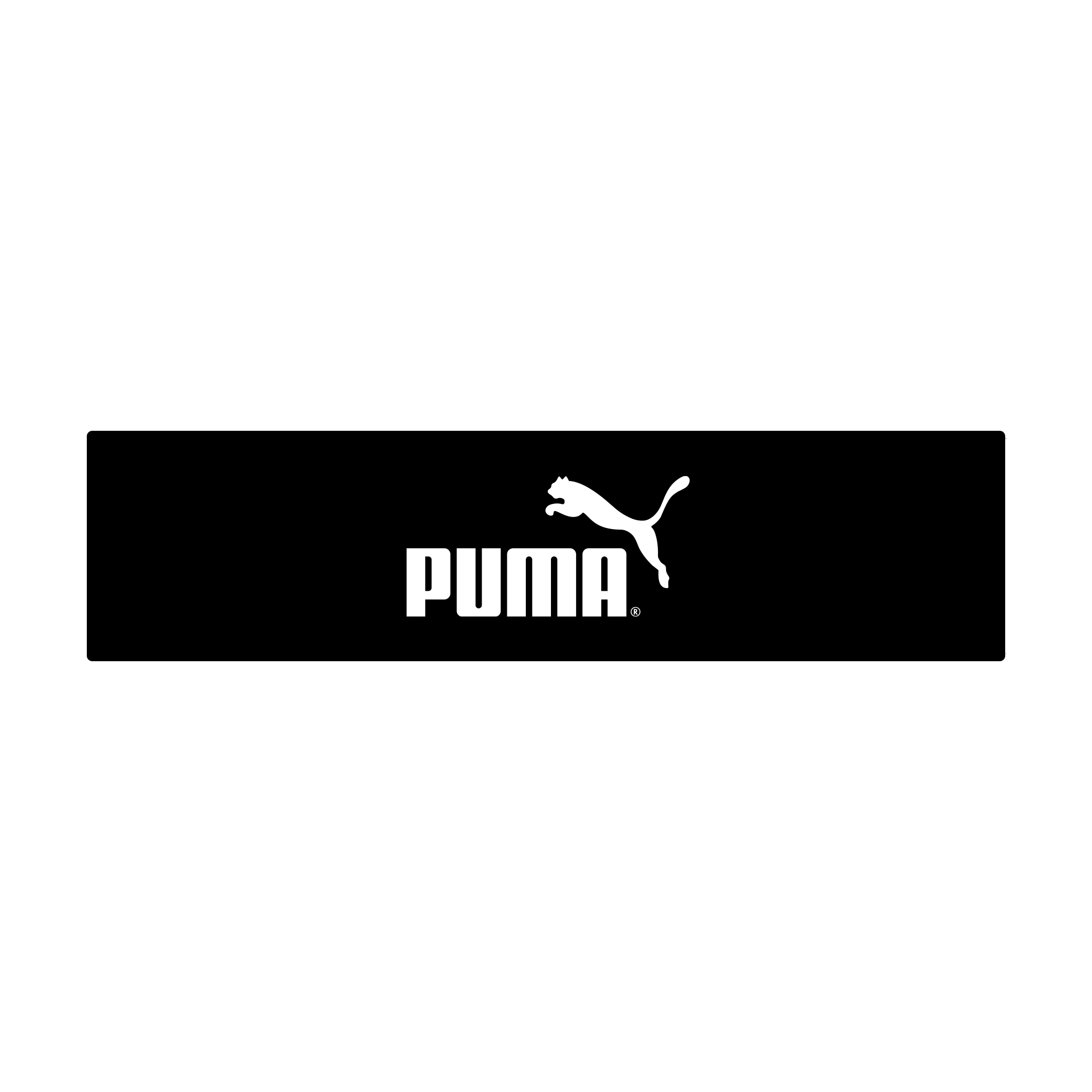 Puma puma